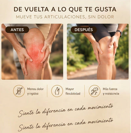 Colágeno + Silicio Orgánico + Magnesio | 120 Comprimidos | Best Diet